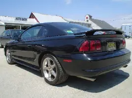 Back_photo1TEST.webp