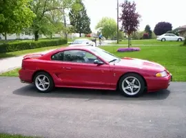 Cobra351.webp