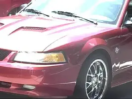 mustang1.webp