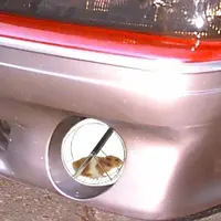 hamster foglight.webp