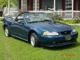 mustang 001.webp