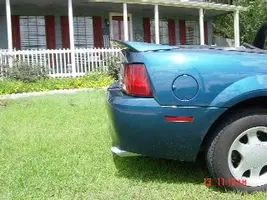 mustang 008.webp