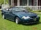 mustang 001.webp