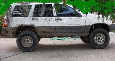 zj side.webp