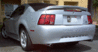 mcow-mustang.gif