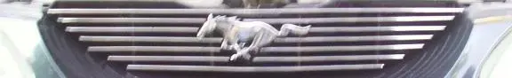 DCP_0016_1cut.webp