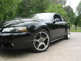 Cobra.webp
