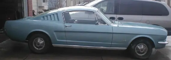 mustang2.webp