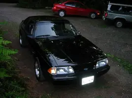 mustangtopd1A.webp