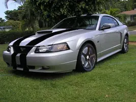 blachsaleenstripes.webp
