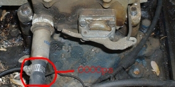 carbooops2.webp