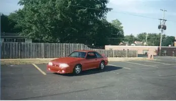 MyStang.webp