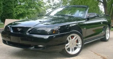 stang4a.webp