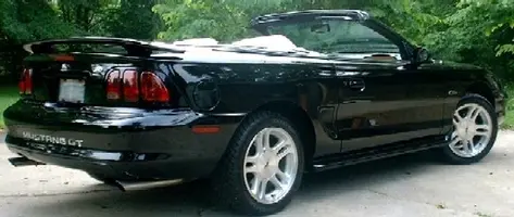 stang5a.webp
