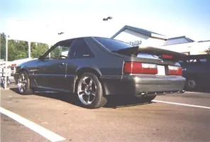 lsStang03.webp