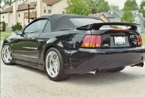 cobra2.webp