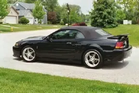 cobra3.webp
