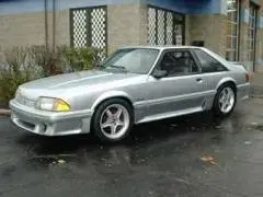 MUSTANG 83 PIC.webp