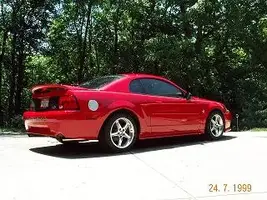 Picture 0572.webp