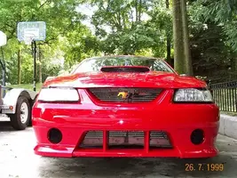 Picture4.webp