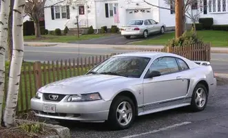 03stang1.webp