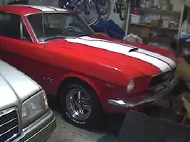 mustang6.webp