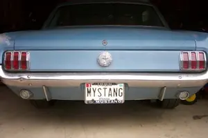 mystang.webp