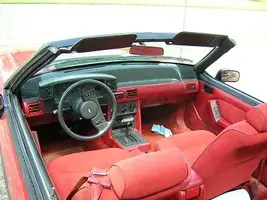interior.webp