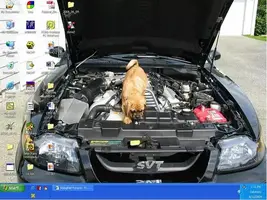 untitled.webp