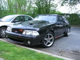 mustang1.webp