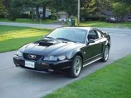 New car.webp