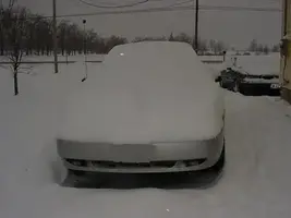 snowstang.webp