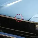 spot.webp