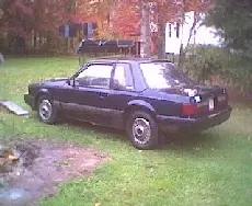 STANG2M.webp