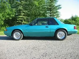 Mustang.webp