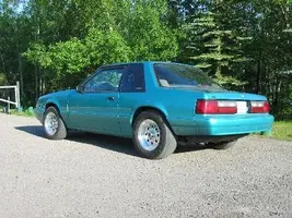 Mustang 2.webp
