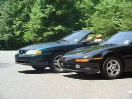 stang.webp