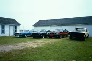 My Pictures0020.webp