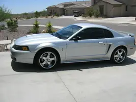 cobra.webp