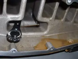 intake milk.webp
