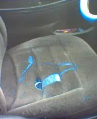 Paint.webp