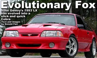 fox1.webp