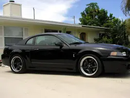cut springs 001.webp