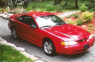 mystang4.webp