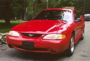 mystang3.webp
