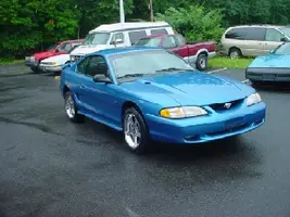 newstang2.webp