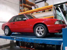 mustang1.webp