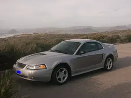 Mustang%20010%20form.webp