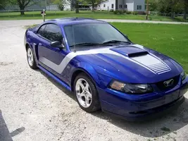 stang2.webp