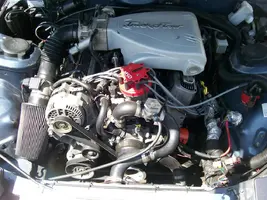 100_0342.webp
